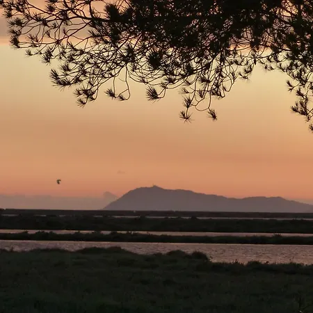Le Surplage Motel Hyères