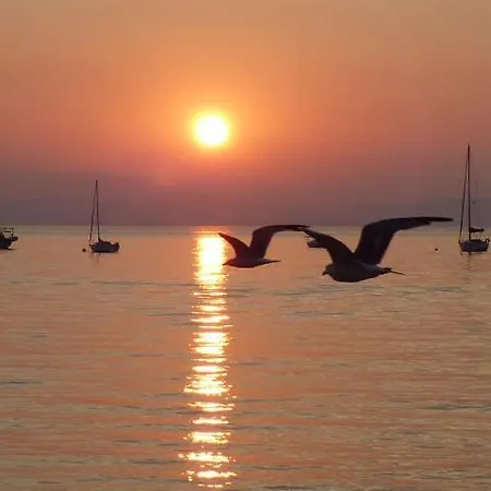 Le Surplage Motel Hyères