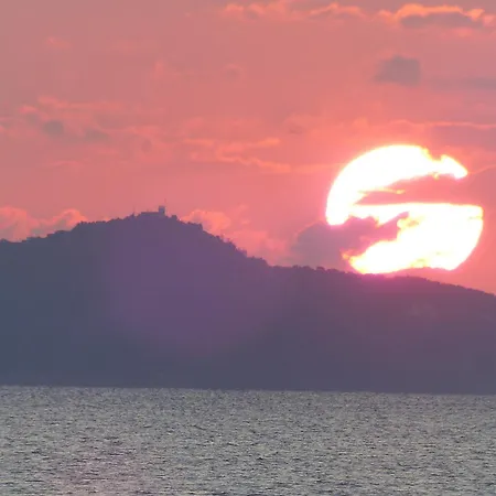 Motel Le Surplage Hyères